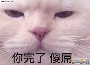  钓的就是你图片一个闪现到你怀里表情包下载乐游网游戏下载