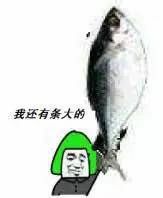  有哪些斗图必胜的表情包
