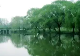 让老外目瞪口呆的江南美景 让老外目瞪口呆的江南美景