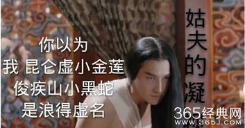 夜华表情包大结局