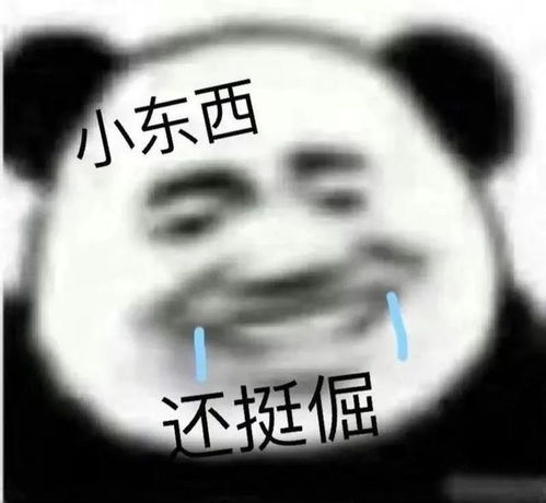  表情包,做个开心的小可爱