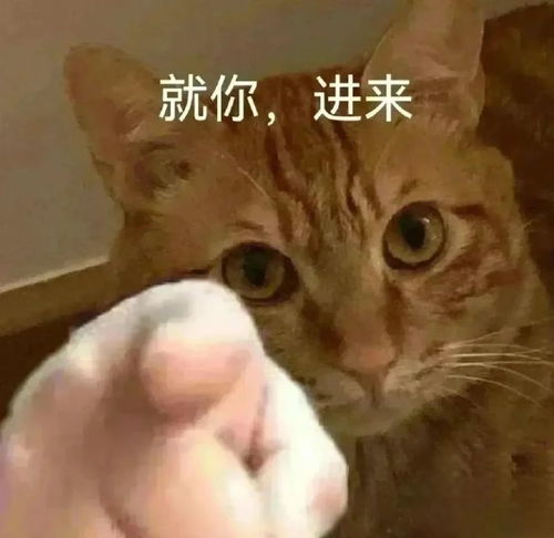  数模论文转发表大放价,这波保研稳了