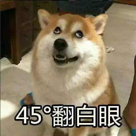  穿越中国去找你83岁老先生千里寻初恋,网友却说相见不如怀念