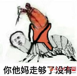  皮皮虾我们走是什么梗和皮皮猪我们走什么关系皮皮虾我们走表情包无水印