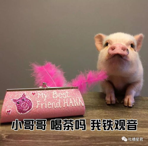  教你如何一句话搭讪小哥哥