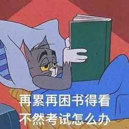  帮我盖个楼,兄弟