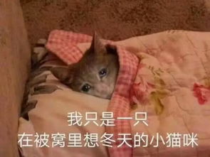 我感觉我抑郁了表情包被