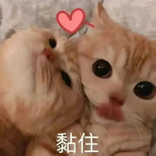 国潮集体婚礼广州爱的号码牌得靠抢 国潮集体婚礼广州爱的号码牌得靠抢