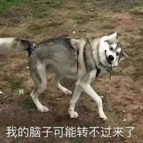  熬夜的理由千千万,早睡的理由只有这一条
