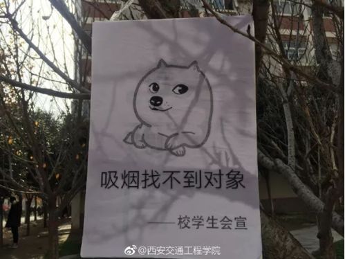  吸烟找不到对象,这所高校的禁烟表情包一夜之间火了