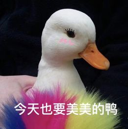  不够精致的留学生配活在留学生的朋友圈里吗