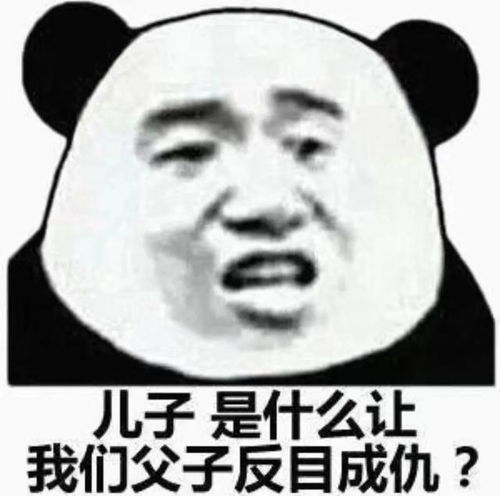  熊猫表情包还不是因为你太丑