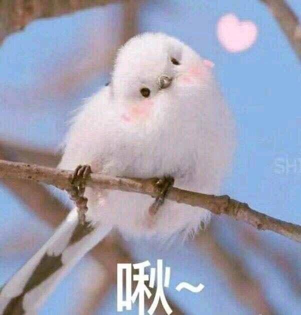  好玩