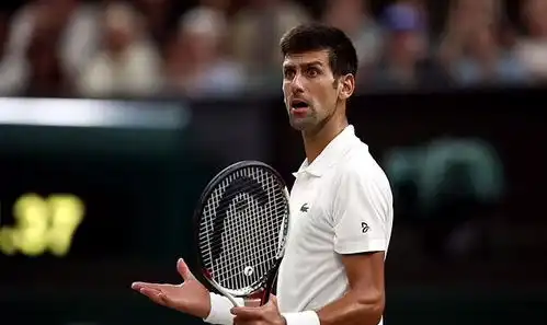  大批名人获特殊入澳,澳副总理不会对富人及名人开绿灯