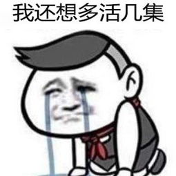  谁还没领过几个盒饭