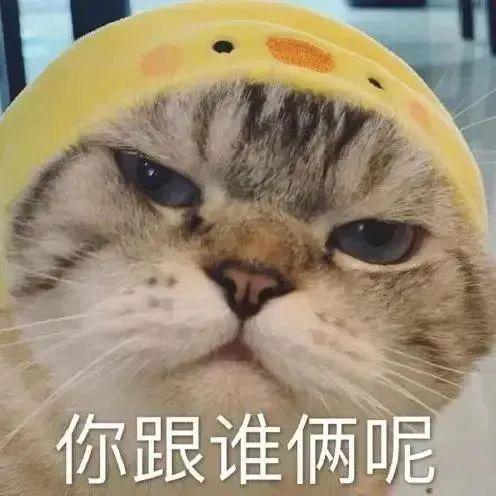  打住,祸从口出丨第830期喵表情包