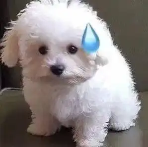 全情绪表达流汗表情包 全情绪表达流汗表情包