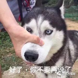  国庆后备箱摄影赛看到最后一个,我笑了...