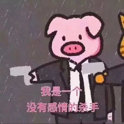  征深圳的朋友