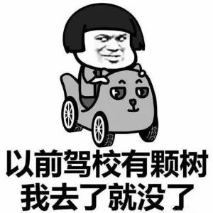  教练喊你来练车啦考驾照的也约起来下周一起安庆市区恢复驾考