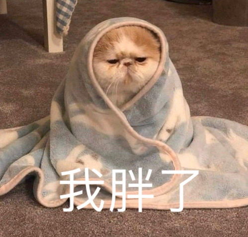  为什么很多女生表情包很迷