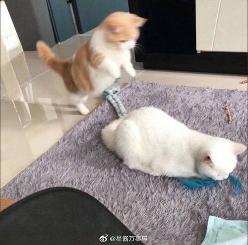  我的收藏