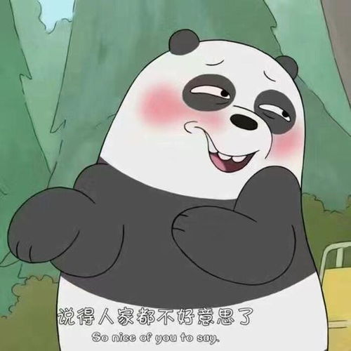  什么我发了那么多表情包你还不够用搜狐搞笑搜狐网