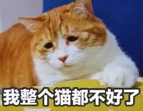 北方大妈远嫁南方,每天头晕呕吐无法下床一个月后决定离婚 北方大妈远嫁南方,每天头晕呕吐无法下床一个月后决定离婚