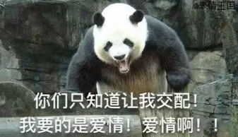 说走咱就走表情包熊猫