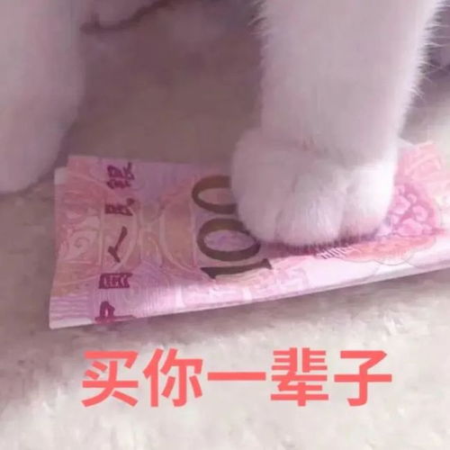 表情包我让你整天哈哈哈