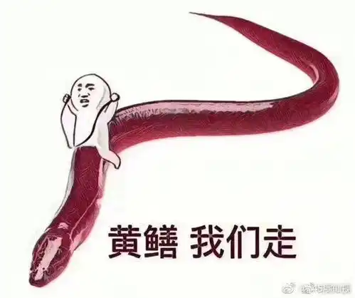 我刚才知道黄鳝门的 我刚才知道黄鳝门的