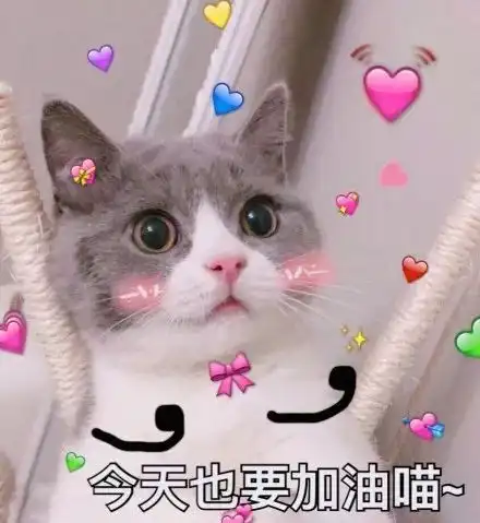 猫咪呕吐表情包原点阅读