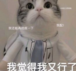  我觉得我又行了表情包大全