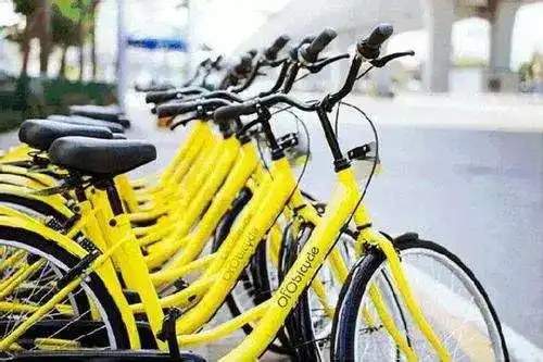 2019,幸福密码继续陪你思考成长看世界 2019,幸福密码继续陪你思考成长看世界