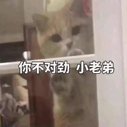  盯着看了两个小时,结果你告诉我都是假的