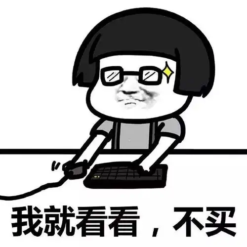 打死我都不养猫 打死我都不养猫