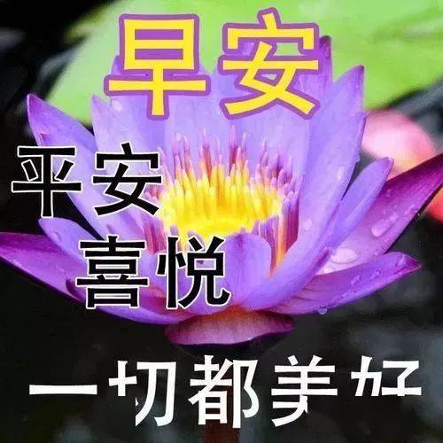 中年老人表情包祝愿朋友付出和回报成正比,幸福人生乐无极