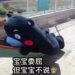  爱在北工院叮你家团支书专属表情包已上线