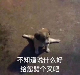 科代表聊体育丨巴萨没西真的不行,勇士首秀遭逆转 科代表聊体育丨巴萨没西真的不行,勇士首秀遭逆转