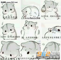 夫君君小娘子表情包夫君君仓鼠表情包下载乐游网游戏下载 夫君君小娘子表情包夫君君仓鼠表情包下载乐游网游戏下载