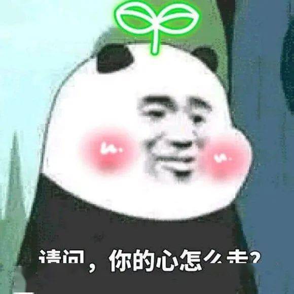  搞笑沙雕熊猫头表情包来啦,敲可爱