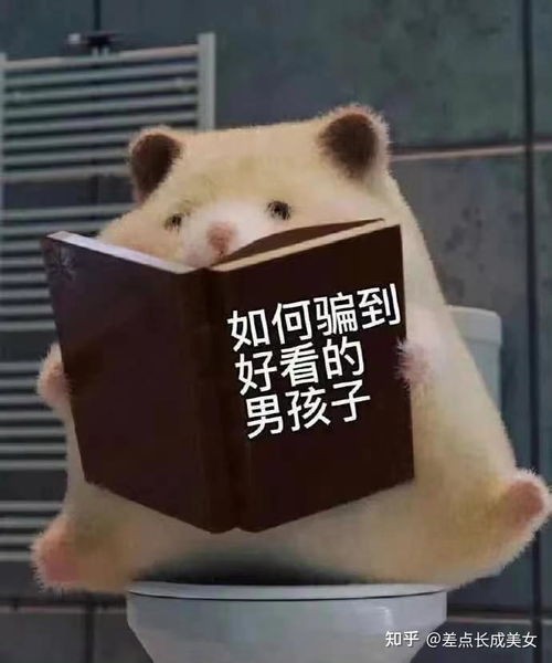  真的不想再遇到那些离谱的相亲对象了去那些高质量社交软件上找对象会不会更靠谱一点