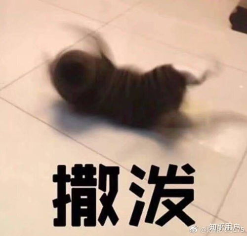  和喜欢的人在一起是什么感觉