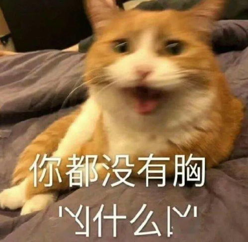  今日份沙雕搞笑表情包