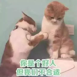  表情sir美丽,是我的武器