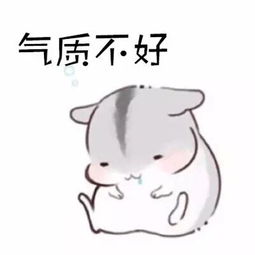  可爱的仓鼠表情包