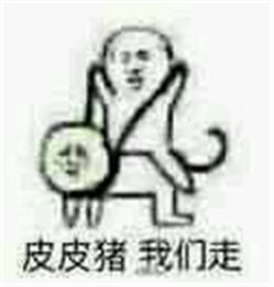  皮皮虾我们走到底是个什么梗