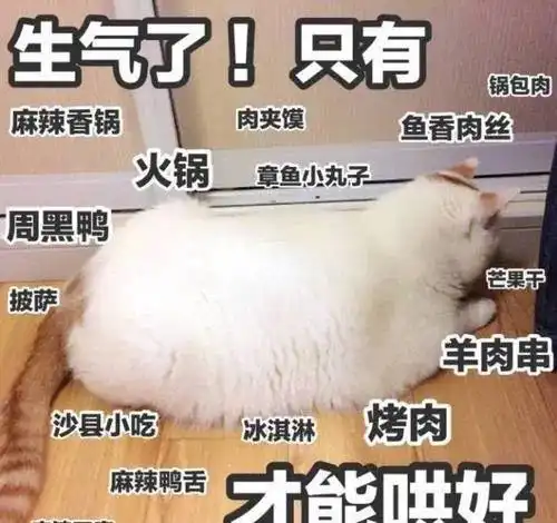 猫咪散养好还是笼养好对比结果让人吃惊 猫咪散养好还是笼养好对比结果让人吃惊
