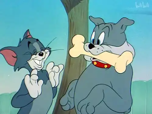 哔哩哔哩专栏 哔哩哔哩专栏