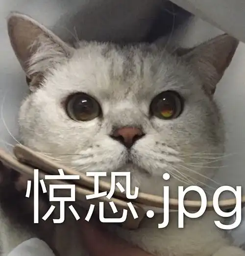 以猫为主的动物向表情包233333流量慎入 以猫为主的动物向表情包233333流量慎入